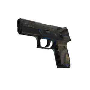 P250 | Обменник